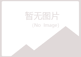 乐山中又晴工程有限公司